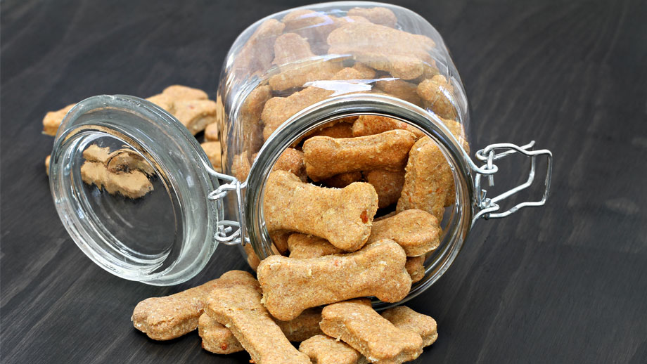 Hundekekse Selber Backen Teaser Neu