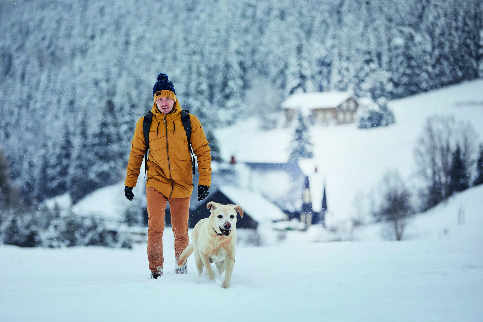 Tikaani Bestes Hundefutter