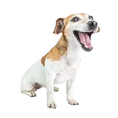 Koelle Zoo Aktuelle Aktionen 2c19550d76