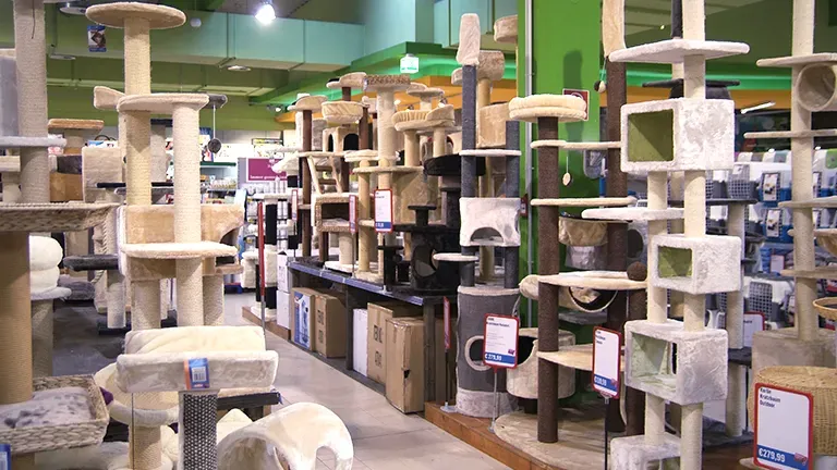 Muenster Highlight 2 284f1024aa