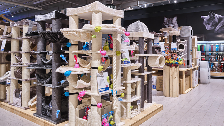 Kassel Highlight Katzenabteilung