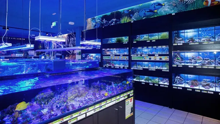 Muenchen Highlight 2 4939f4b9c2