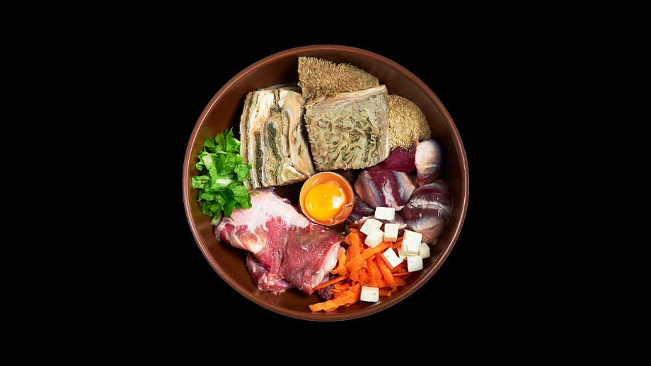 Rohfütterung für Katze und Hund – BARF & Prey Model Raw