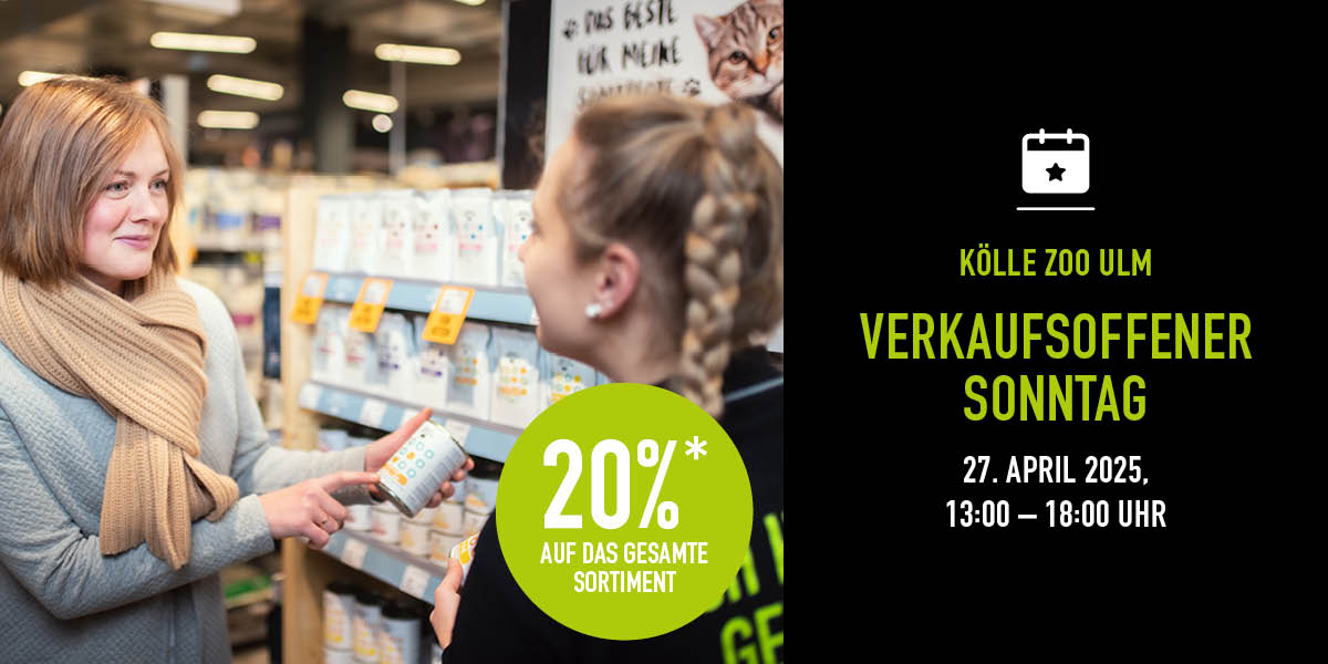 270425 Event Vos Ulm Nl