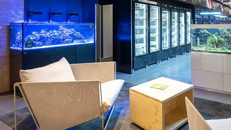 Reutlingen Highlight Meerwasserbecken E5525a5d09