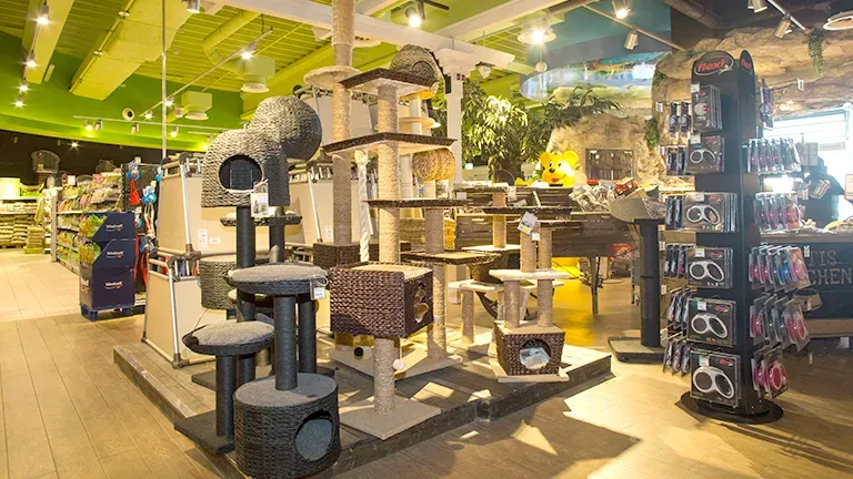 Wuerzburg Highlight Katzenabteilung F2756cebdd