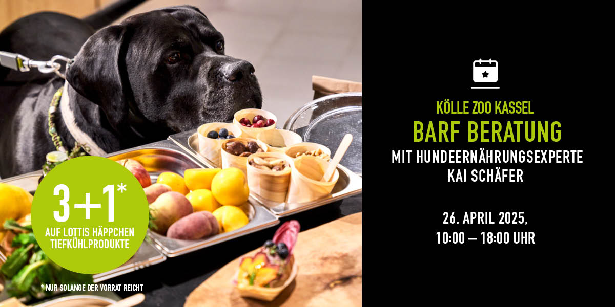 260425 Event Barf Kassel Nl