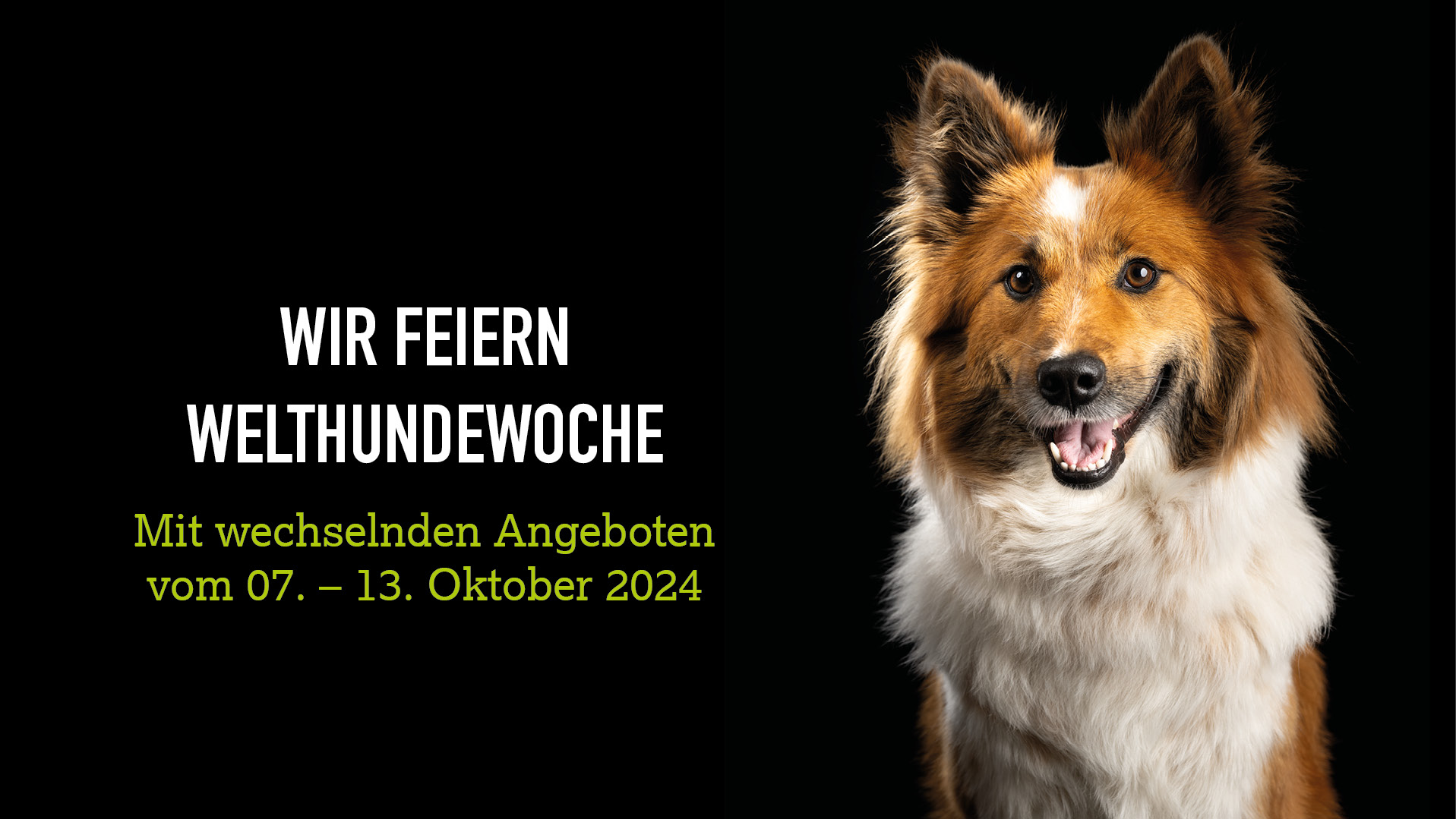 Whw Blog%20920x518 1%20%281%29