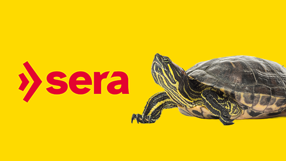 Sera Blog Teaser 920x518px%20schildkr%c3%b6te2