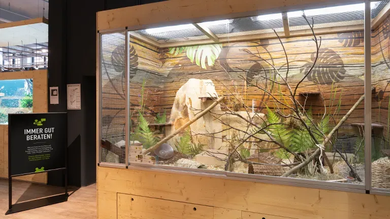 Reutlingen Highlight Nagergehege Eingang 890aea2aa7