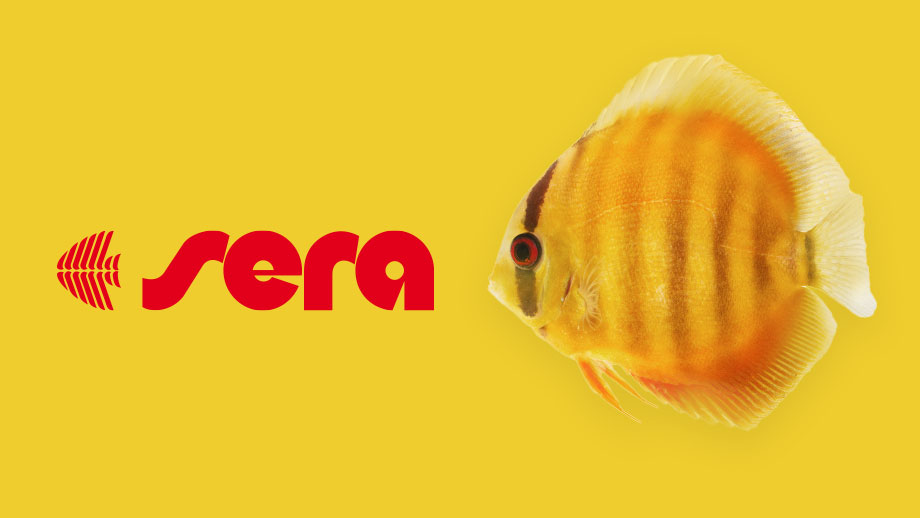 Produkttipp Sera Zierfischfutter Fuer Diskusfische Teaser