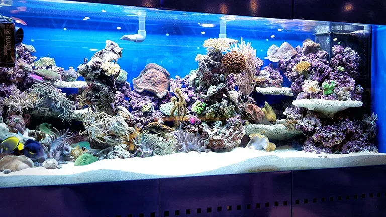 Saarbruecken Highlight 2 Ac4ecc8d8c