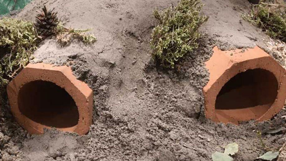 Diy Kaninchenbau Teaser2