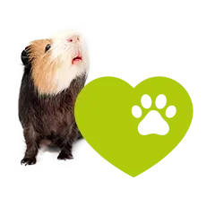 Koelle Zoo Adoption 5587a41171