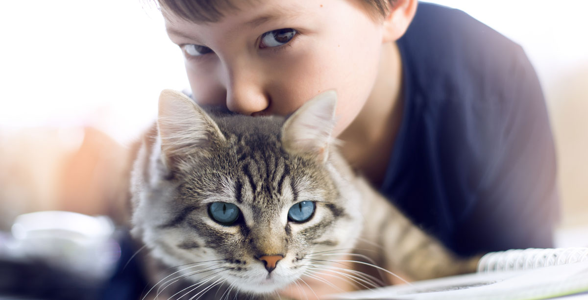 Katzen und Kinder - so gelingt das Zusammenleben
