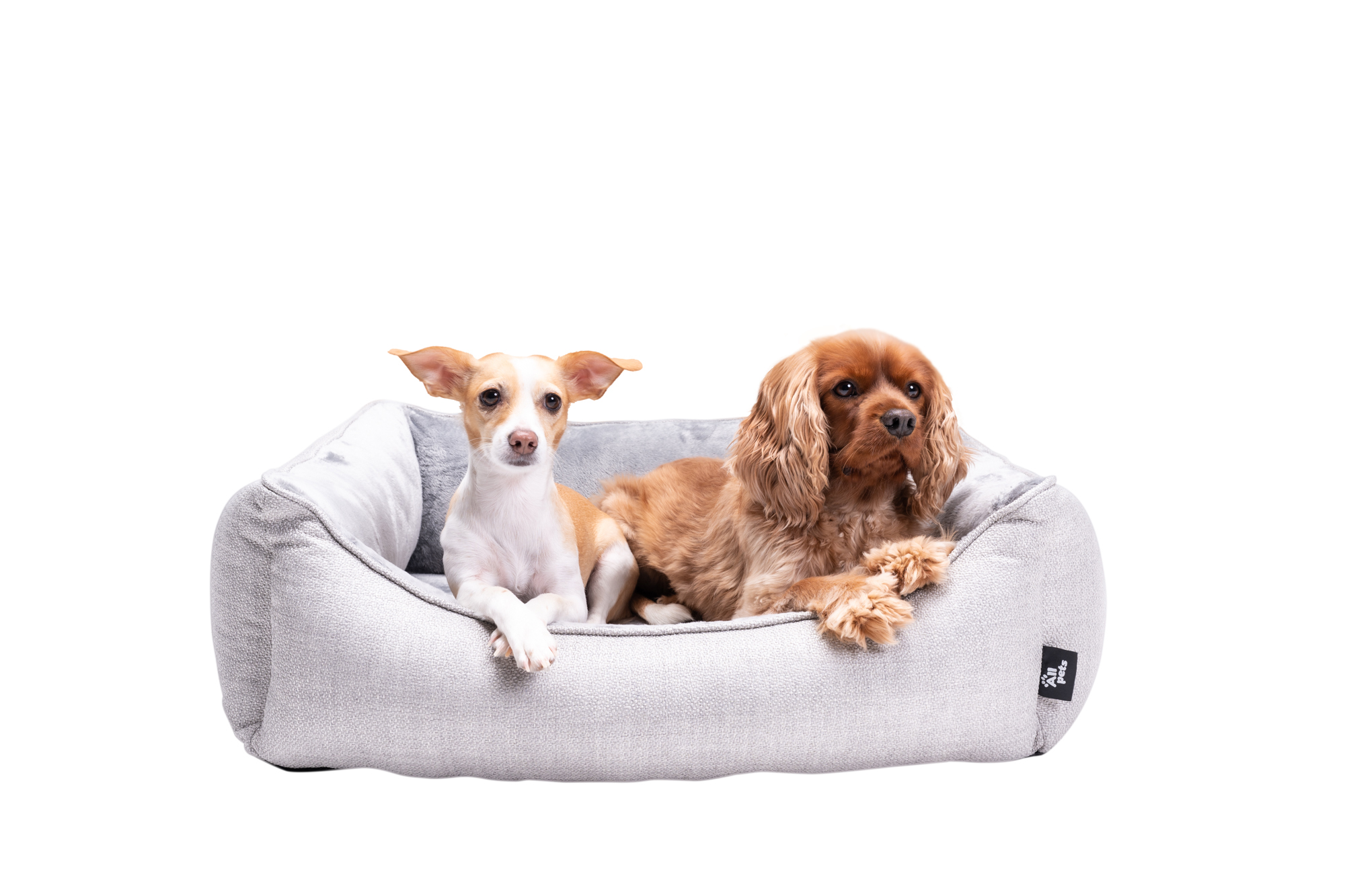 Allpets Hunde Marlon Silbergrau 3