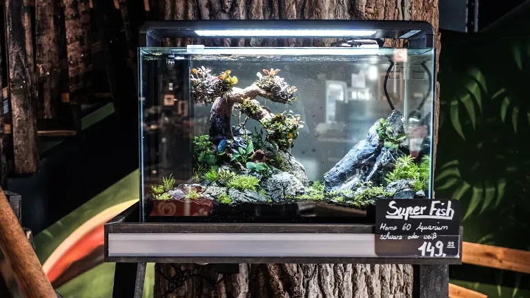 Heidelberg Highlight 3 1 33ba372ac8