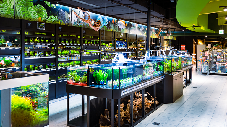 Nuernberg Impression 2