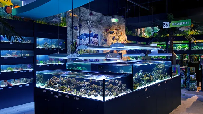 Nuernberg Impression 4 6bf4bdd286