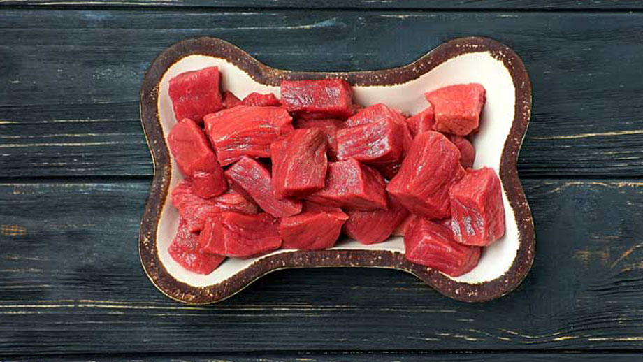 Barf Mythen Teaser Neu