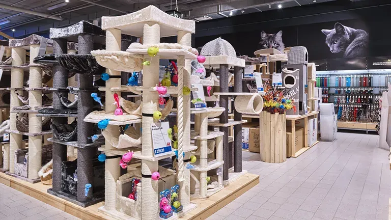 Ulm Highlight 3 C4c0c9fd8d