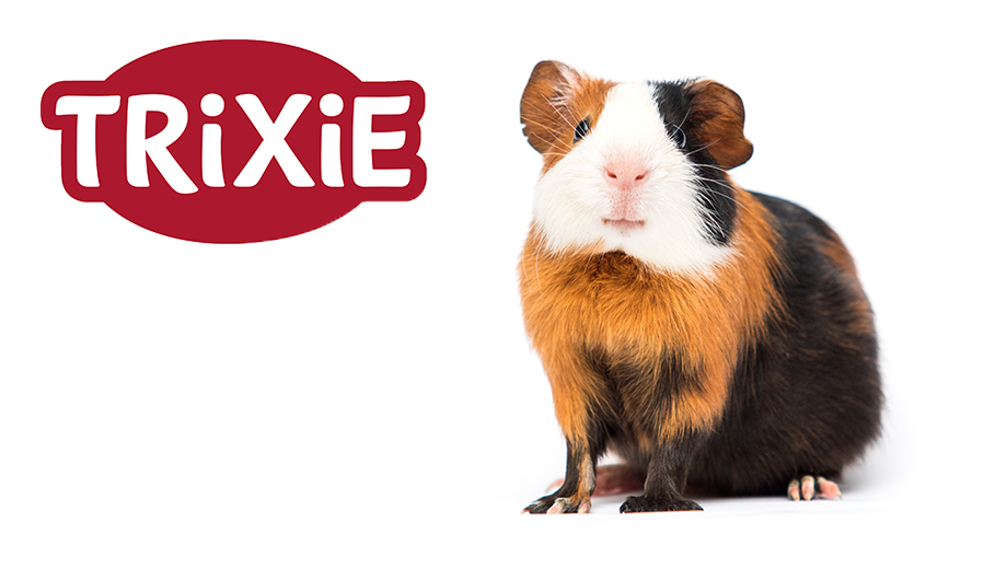 Blog Teaser Trixie%20920x518px%20meersau