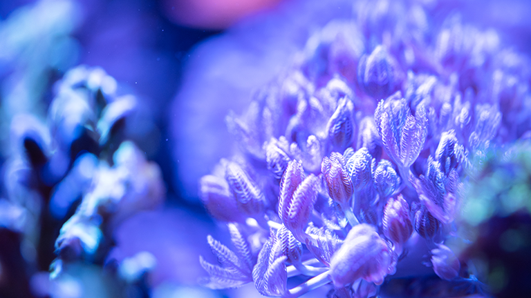 Nuernberg Highlight 2