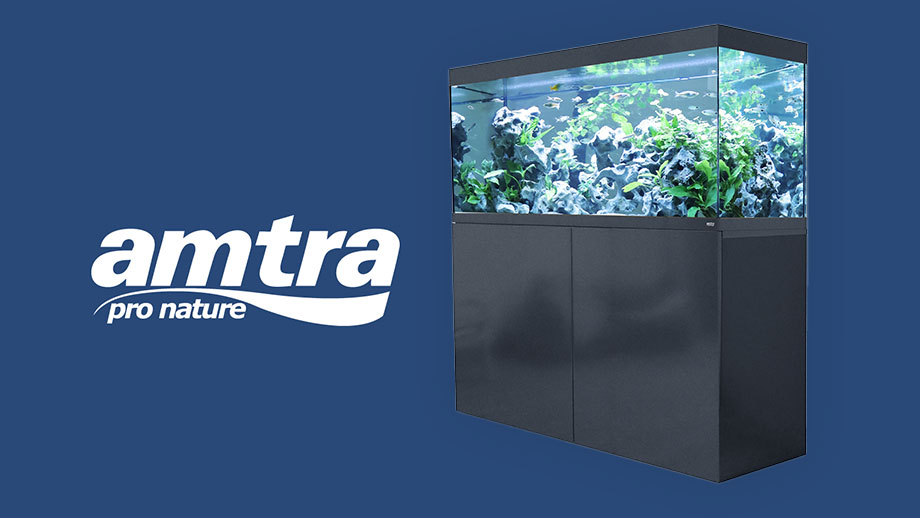 Produkttipp Amtra Alux Aquarien Teaser