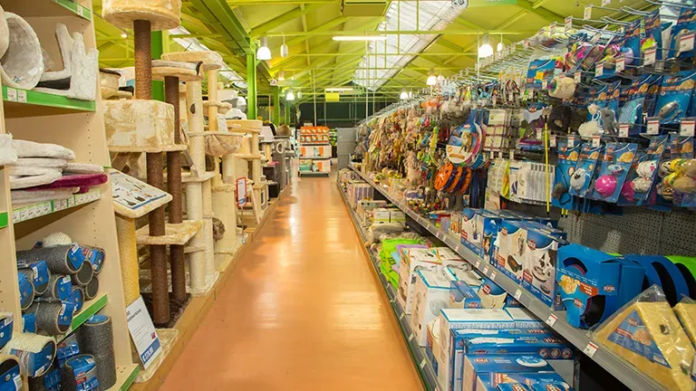 Villingen Schwenningen Highlight Katzenabteilung 25706fa3eb