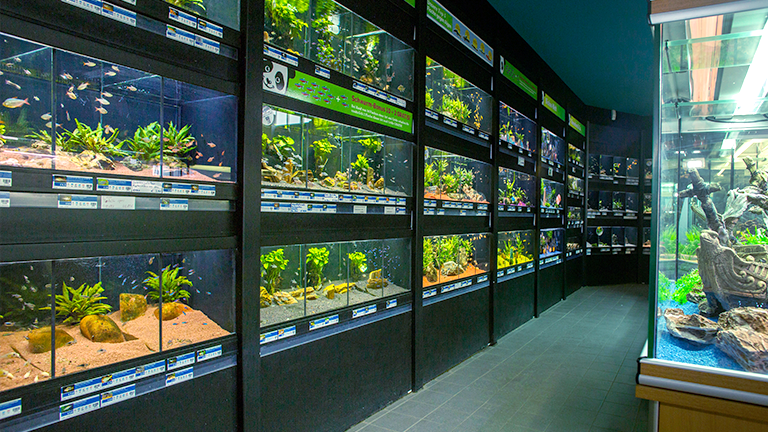 Balingen Header Mobile