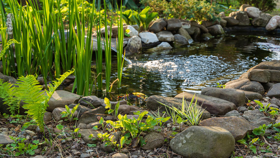 So Machst Du Deinen Teich Fruehjahresfit Teaser 1