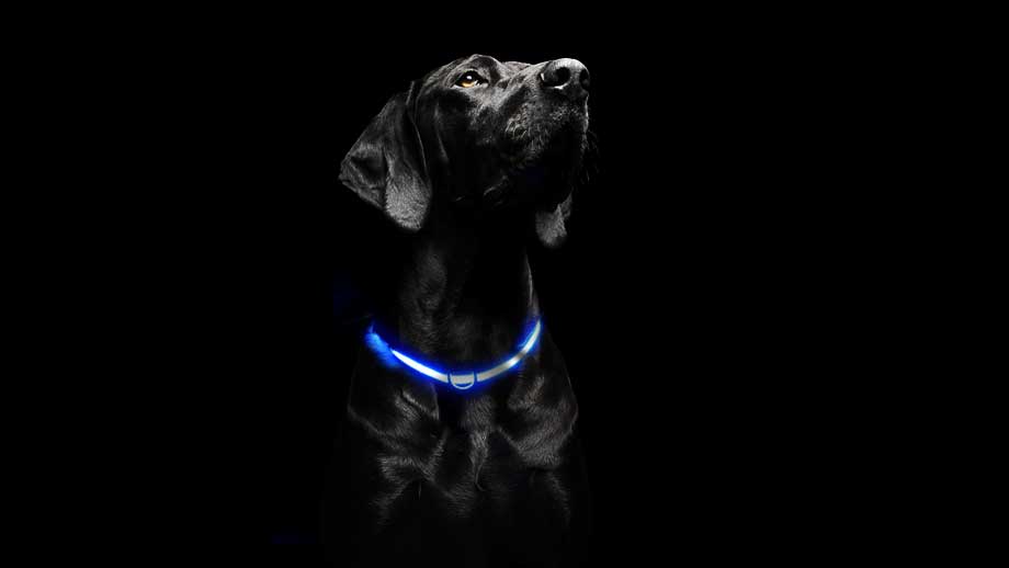 Sicherheit Im Dunkeln Teaser