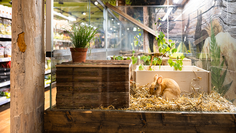 Nuernberg Impression 5