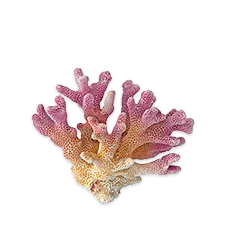 Mw Einrichtung Pflege C275a65849