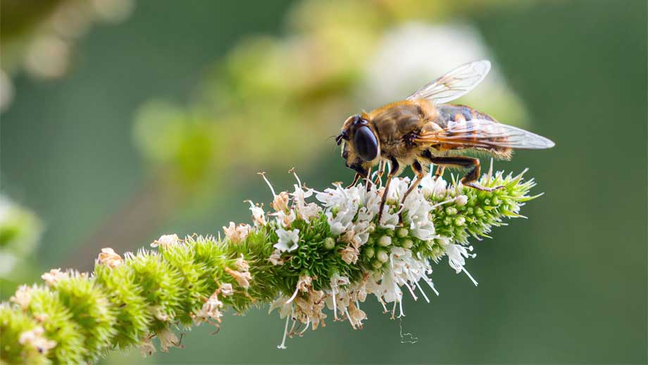 Fr%c3%bchlingsgarten Teaser2