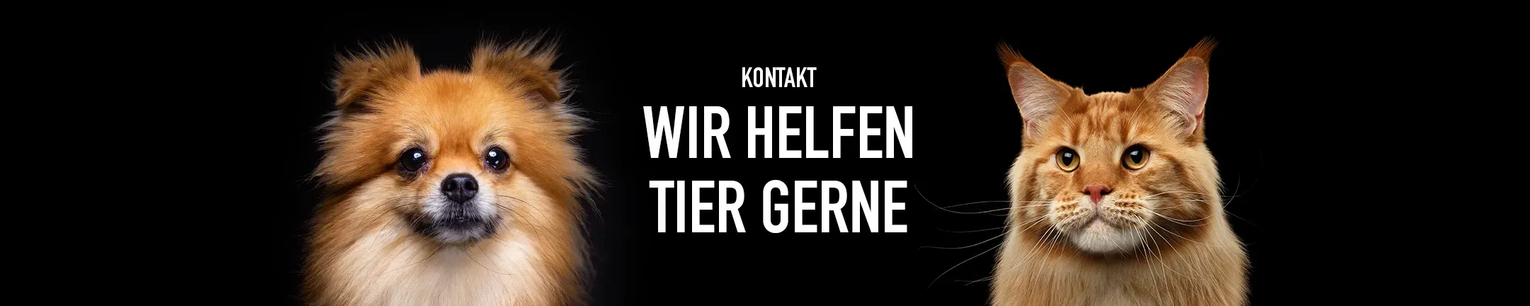 Kontakt Banner Footer Desktop C53d54567f