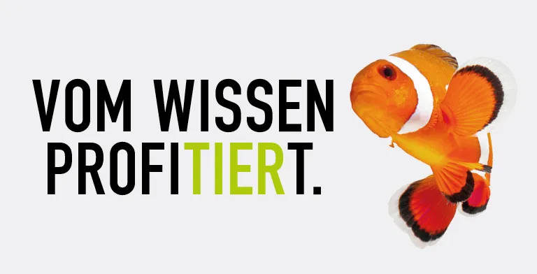 230502 Koellezoo Blog 768x392px2