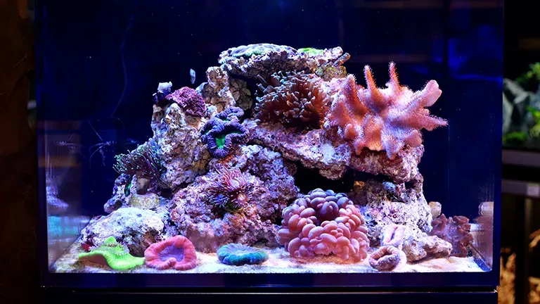 Weilam Rhein Highlight 3 01723ae11b