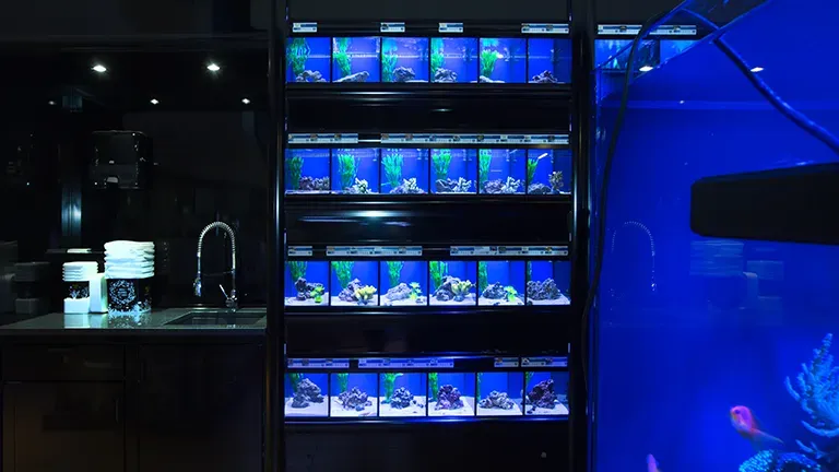 Innsbruck Highlight 2 E5183e0b0e