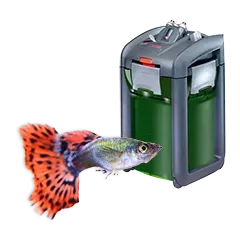 Suesswasser Technik 4fbf3907c8