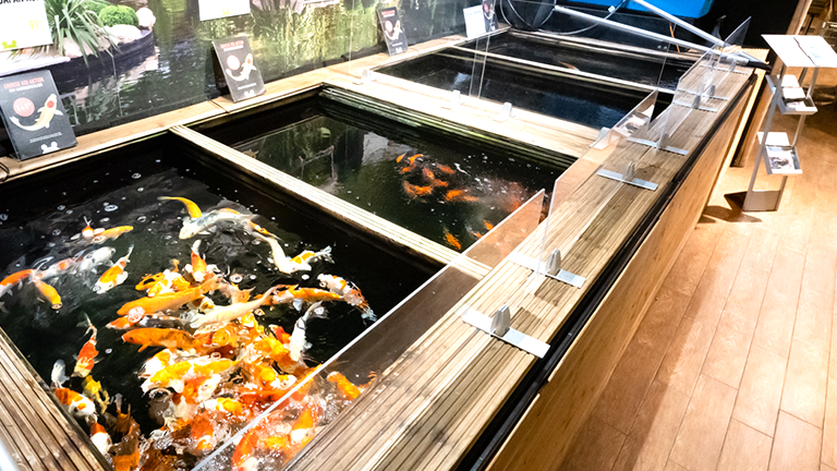 Nuernberg Impression 7