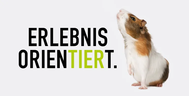 230502 Koellezoo Blog 768x392px4