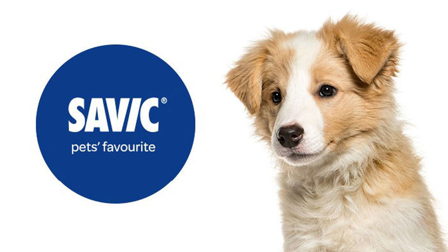 Produkttipp Puppy Pads Von Savic Puppy Teaser Neu