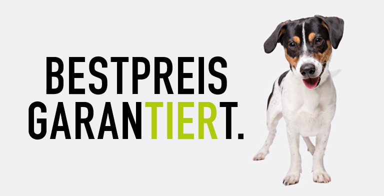 230502 Koellezoo Blog 768x392px3