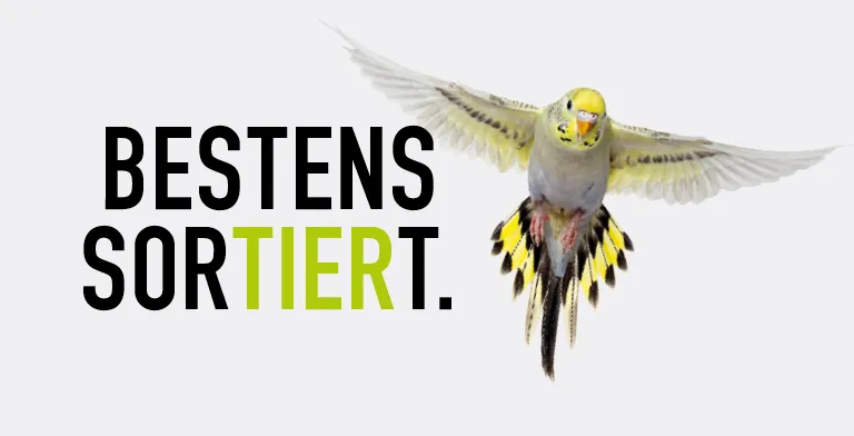 230502 Koellezoo Blog 768x392px5