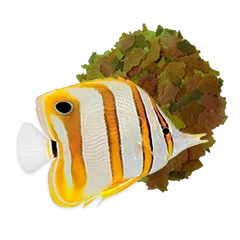 Mw Ernaehrung Ea1f0f21a9