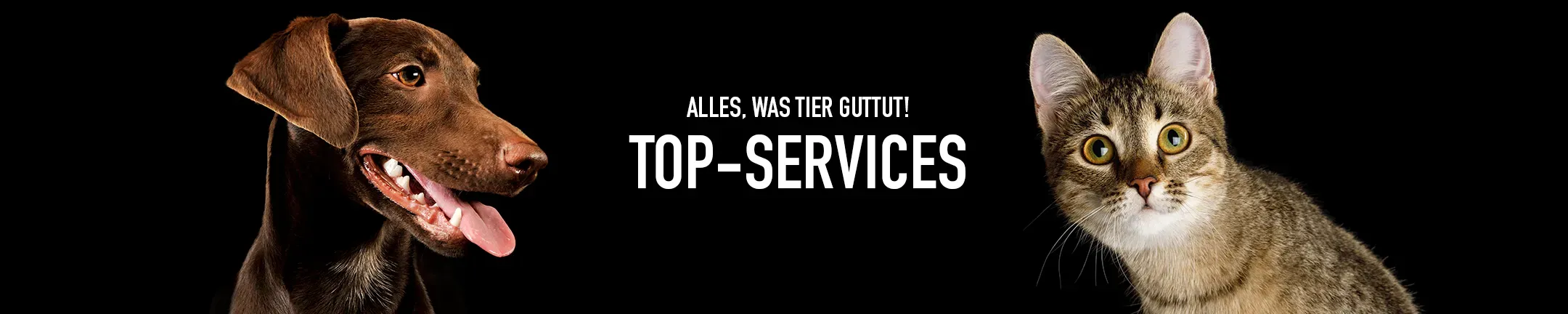 Service Banner Footer Desktop C9455d34e8