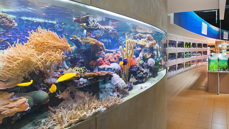 Linz Highlight 3 3e11be53e3