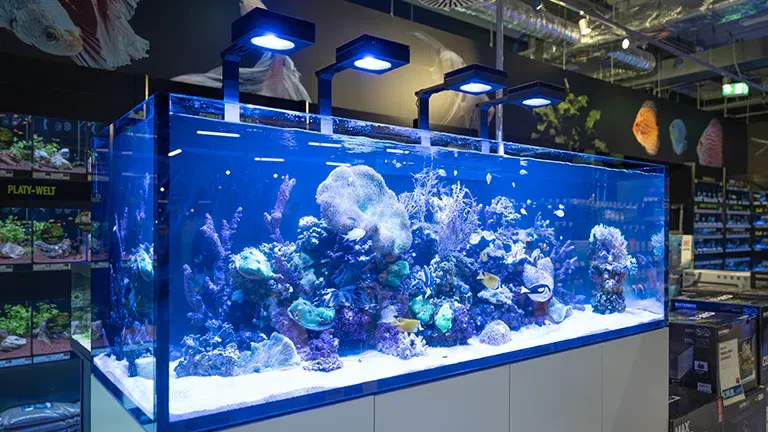 Karlsruhe Highlight Schaubecken 07a711a0db