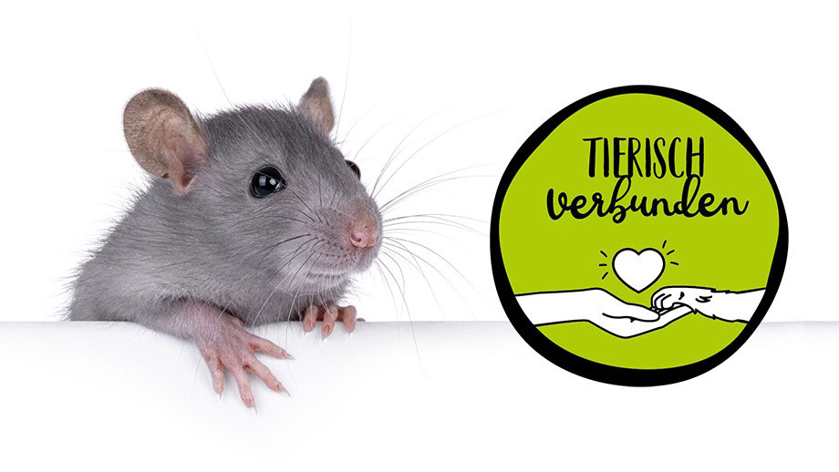 Jahresmotto 2025 Teaser Final